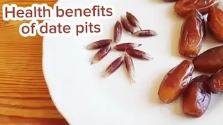 Health benefits of date pits