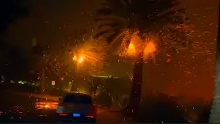 LA Firestorm на REELZ: Тизер-трейлер документального фильма о лесных пожарах