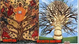 Esoteric Symbolism of Christ Brain Anatomy- cullen smith Lifting The Veil