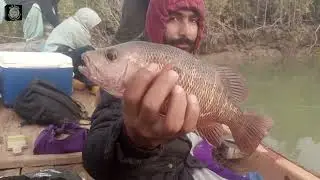 Damb mangrove fishing | new mangrove fishing video 2024 | karachi fishing #karachifishing