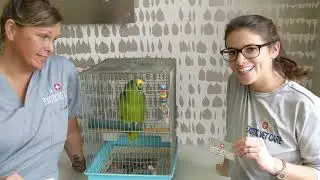 Freedom the Parrot with Jo Vet Tech & Britt Receptionist Exotic Vet Care