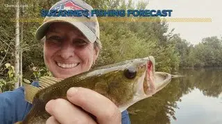Suzanne's Fishing Forecast July 8, 2021