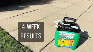 1 Month Using Roundup Weedkiller - The Results!  😊