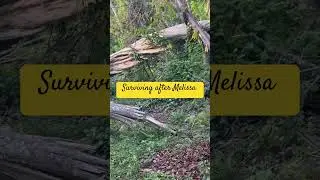This is Jamaica after the storm ￼