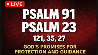 Prayer of the Day: PSALM 91, PSALM 23, 121, 35, 27 | The Most Powerful Prayers in the Bible!