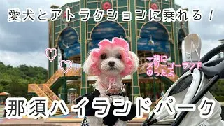 わんこと遊園地へいこう🐶@那須ハイランドパーク