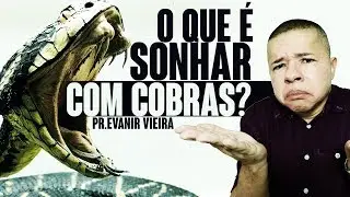 O QUE SIGNIFICA SONHAR COM COBRAS? (4 dicas)