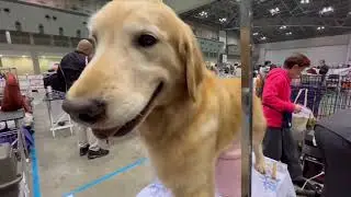 狭いパドックでも皆でワイワイ楽しく過ぎる時間 特別本部展での準備風景