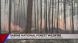 Firefighters responding to 435-acre wildfire in Sabine National Forest