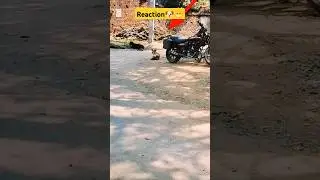 Drone Reaction Village Dog🐕 #shorts #drone #reaction