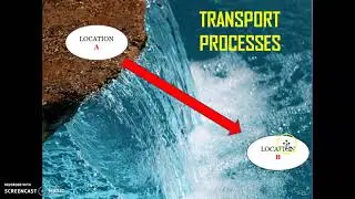 TRANSPORT PROCESSES