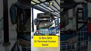 Si Biru Bis MGI #shorts