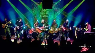New Potato Caboose performing Gold Plated Crime at The Hamilton Live 01/25/2025