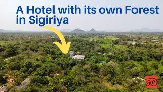 Amaara Forest Hotel Sigiriya - A Hotel in a Forest or a Forest in a Hotel?