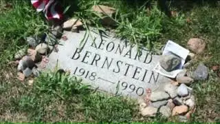170810090 Why A Brooklyn Cemetery Is Filled With Argentinian Parakeets