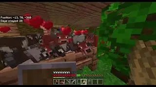 Minecraft bedrock edition tập 12 - cho bò ăn