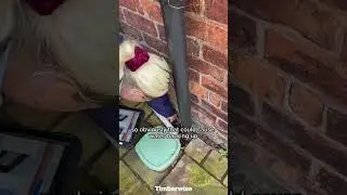 Blocked gully on a pre-purchase property survey #shorts  #construction