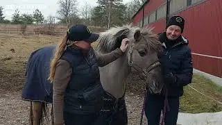 En enda arbetsuppgift: Hultsfredbygdens Ridklubb i Hultsfred