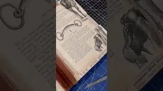 That Dogs Face,  Work In Progress of Book Carving