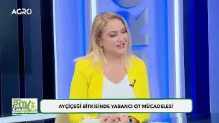 #CANLI Ayçiçeğinde Hasat Dönemi! Domates Yetiştiriciliğinin Püf Noktaları / Bitki Filozofu