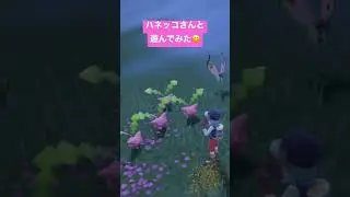 【 #ポケモンSV 】ハネッコさんにただ癒される回 #shorts #ポケモン #ハネッコ