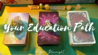 ပညာရေးလမ်းကြောင်း ကံအခြေအနေ 📚✒️ Pick A Pile Tarot Reading 🧿🩵 (Timeless)