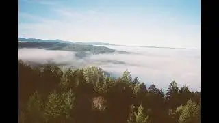 [FREE FOR PROFIT] Phoebe Bridgers + Taylor Swift + Indie Folk type beat 