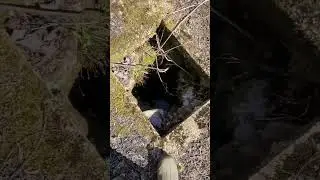Abandoned well!