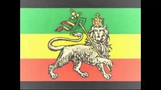Lion in the Jungle (refix)-Rob Symeon