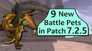 9 New Battle Pets in Patch 7.2.5