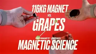 We Put Grapes Against a 116kg Magnet&hellip; Here&rsquo;s What Happened