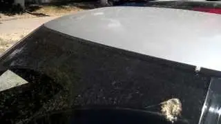 В762КР тонировка лобового 23см ГАИ Алматинской области