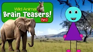 Guess the Wild Animal with these Brain Teasers!