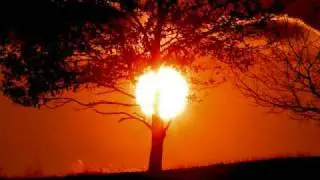 UNKLE feat. Ian Astbury - Burn My Shadow (Junkie XL Mix)