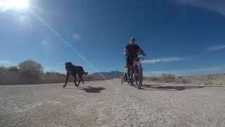 Bikepacking With Dog Test Ride (Burley Tailwagon)