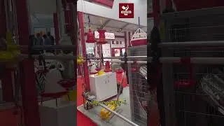 #poultrytek #poultryexpo #poultryindia #poultryfarming
