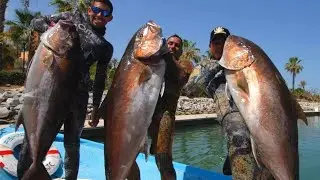 Pescando MONSTRUOS con ARPON - Pesca en BCS - Ep4