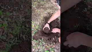 'Record-breaking&rsquo; 1kg discovery found on Aussie property | Yahoo Australia