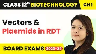 Vectors and Plasmids in RDT - Recombinant DNA Technology | Class 12 Biotechnology Chapter 1