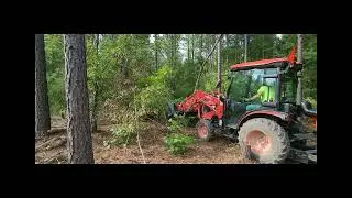 Demo Piranha Toothbar and Root Rake