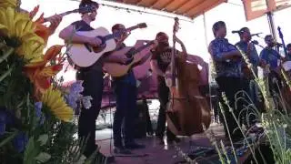 Grateful Ball June 10, 2017. Full set from the Palisade Bluegrass and Roots Festival