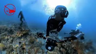 Every Dive is a New Adventure Waiting to&nbsp;Unfold #nyelamyuk #scubadiving #divetrip