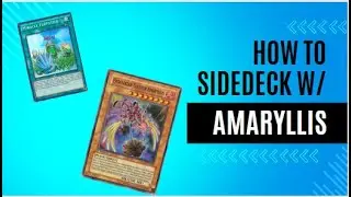 Edison Format - Amaryllis Side Deck Guide!