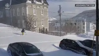 Newfoundland's blizzard, as seen by you