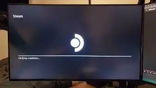 HoloISO OOBE/No UEFI GOP