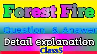 Forest Fire || Class 5 || Question  & Answer || detail explanation ||