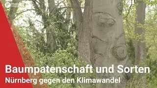 Baumpatenschaften und hitzebest&auml;ndige Sorten gegen den Klimawandel