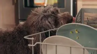 Your Cooking Buddy AND ALSO Your Clean Up Crew