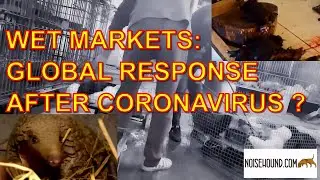 WET MARKETS IN CHINA ASIA: WHAT SHOULD THE GLOBAL RESPONSE BE AFTER CORONAVIRUS COVID-19 PANDEMIC