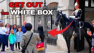 😡The Guard Has Had Enough! Tourists Push the Limits at Horse Guards.!